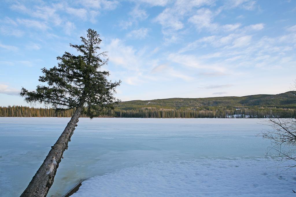 Lac Le Jeune Wilderness Resort Kamloops Exterior foto